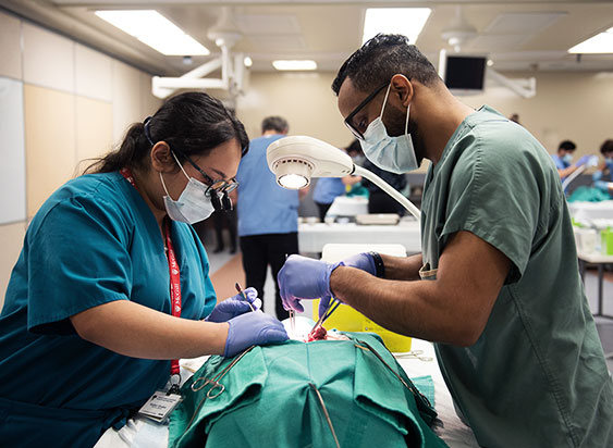 Two surgeons performing an operation 